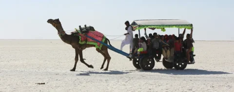 Gujarat-tour