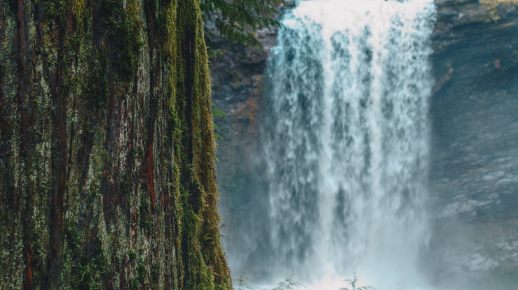 Athirapally-Waterfalls-Tinder-Travel