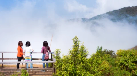 Places to visit in Mahabaleshwar-Tinder Travel